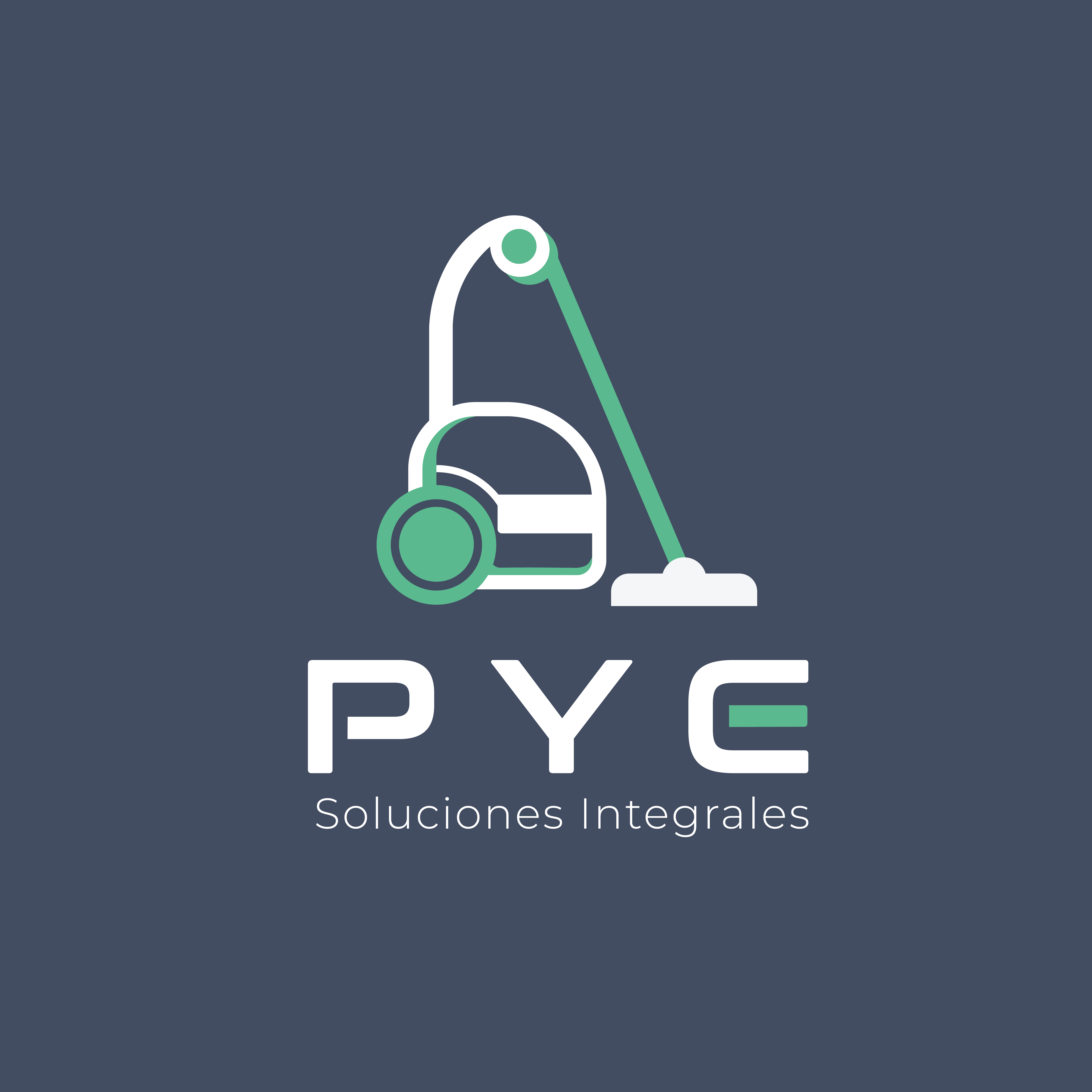 LOGO PYE